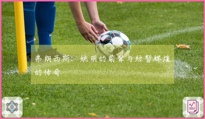 弗朗西斯：姚明的前辈与短暂辉煌的传奇