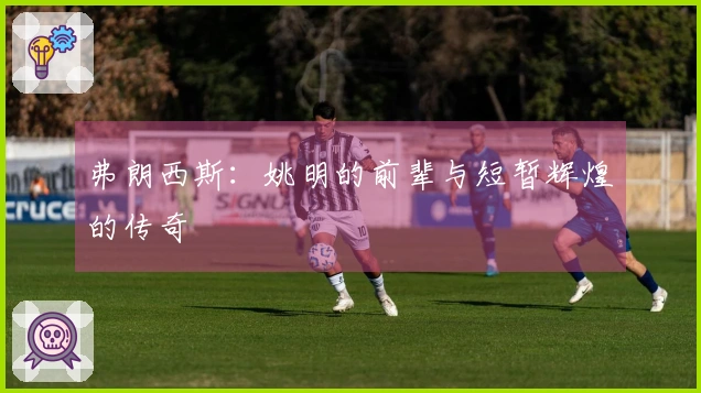 弗朗西斯：姚明的前辈与短暂辉煌的传奇