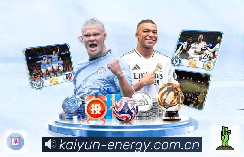 清晰度策略 - 省流与高清一键切换